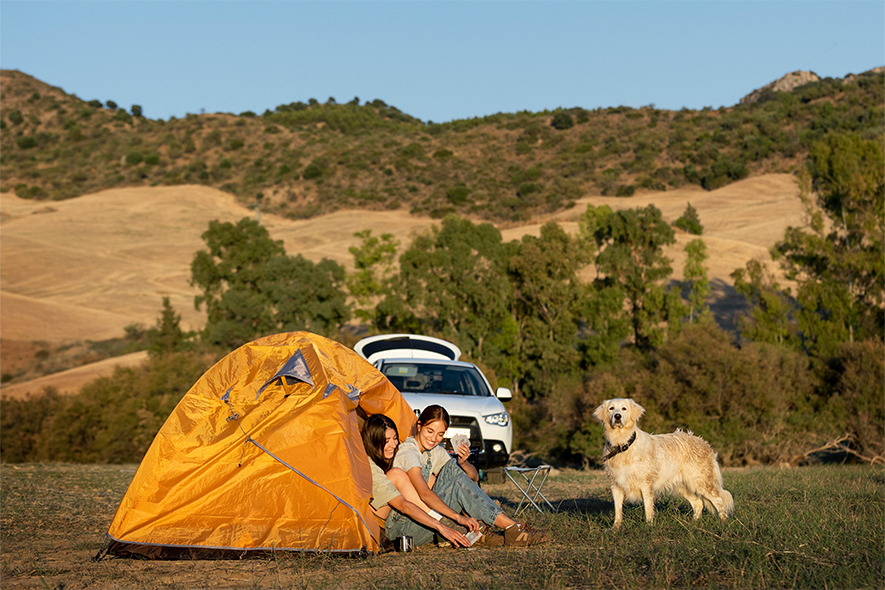 Camping with dogs